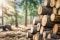 Bois de chauffage dans une forêt
